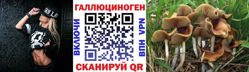 Псилоцибиновые грибы GOLDEN TEACHER  Гурьевск 